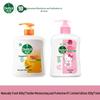 Hand Soap Combo - Natural Fresh & Moisturizing Care