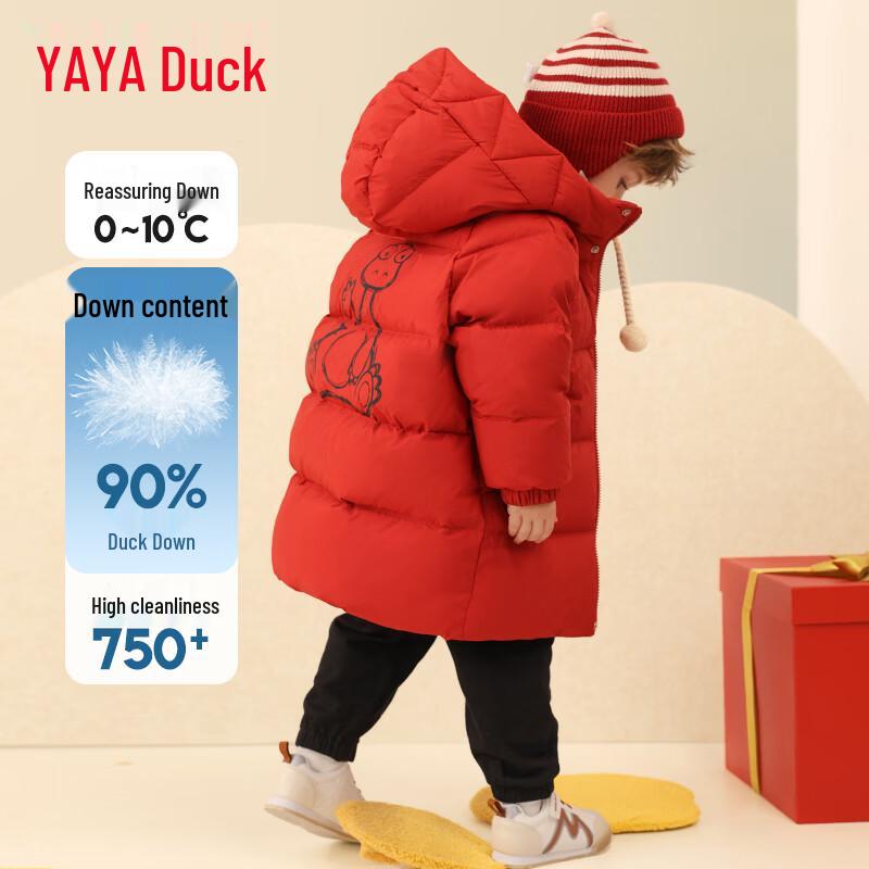 Duckduck Boys' Thickened Hooded Down Jacket