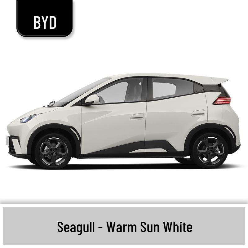 BYD Seagull Touch-Up Paint & Scratch Repair Pens with Paint Removal Tools