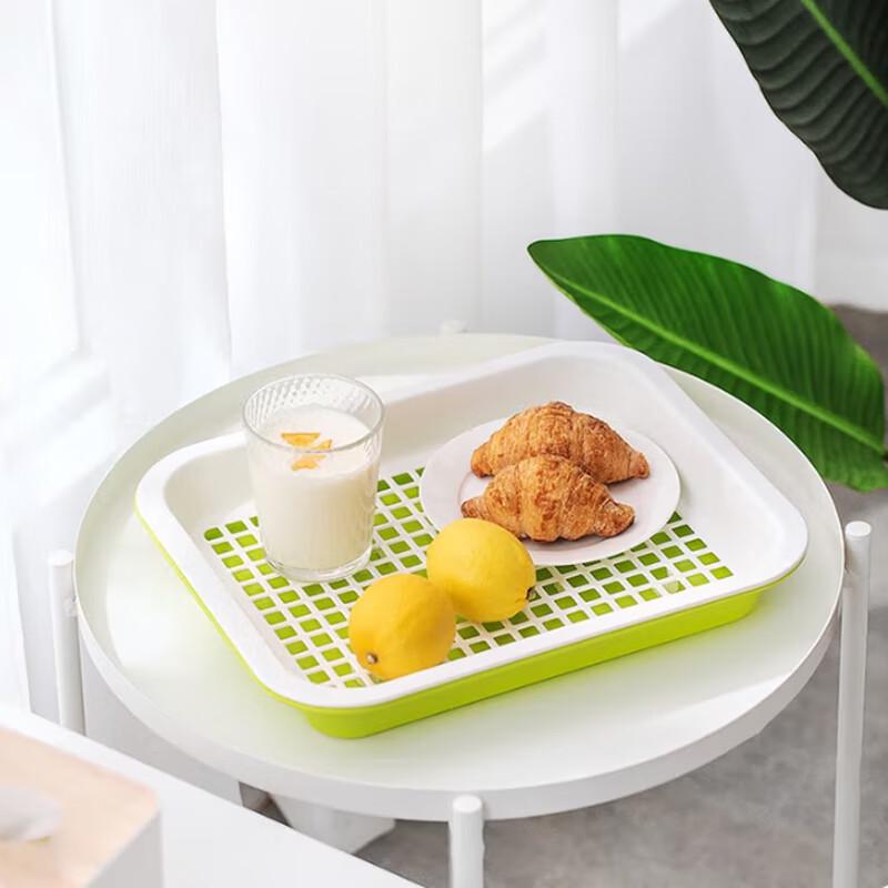 Camellia Double-Layer Plastic Tea Tray Set