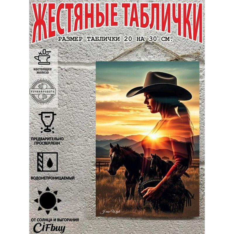 Cowboy on Horse Metal Tin Sign 20x30cm Rustic Wall Decor