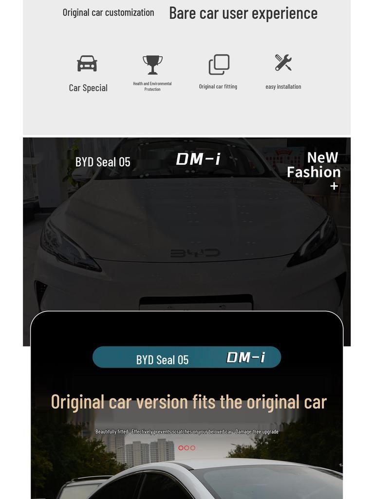 BYD Seal 05dmi Rearview Mirror Protective Cover