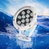24V Waterproof Colorful LED Swimming Pool Light Scenic Fish Pool Spotlight Stainless Steel LED Underwater Lights