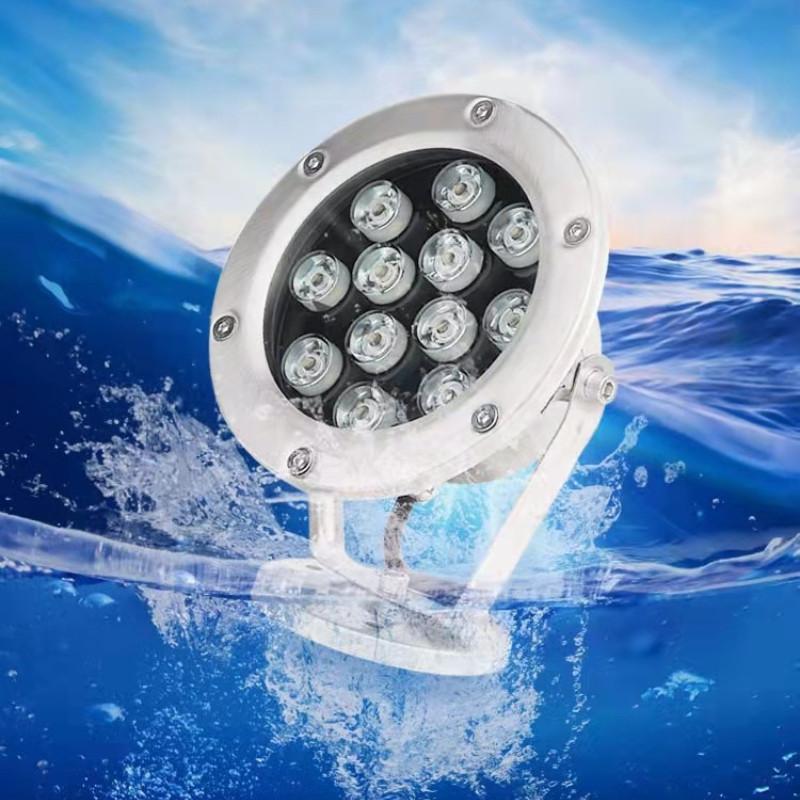 24V Waterproof Colorful LED Swimming Pool Light Scenic Fish Pool Spotlight Stainless Steel LED Underwater Lights