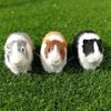 Realistic Hamster Figurines Plush Toys Lifelike Guinea Pig Soft Stuffed Animal Figurine for Kids Birthday Gift