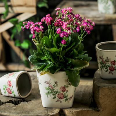 Vase Ceramic Retro Succulent Flower Pot Household Desk Decoration Outdoor Courtyard Light Luxury High Sense Creative Small Size