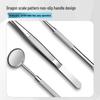 Dentist Tools Set: Stainless Steel Double-Ended Probe, Mouth Mirror, and Teeth Cleaning Kit