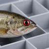 300PCS Self-Adhesive Fish Eyes Stickers 3D Holographic Artificial Fishing Eyes  Lure Making