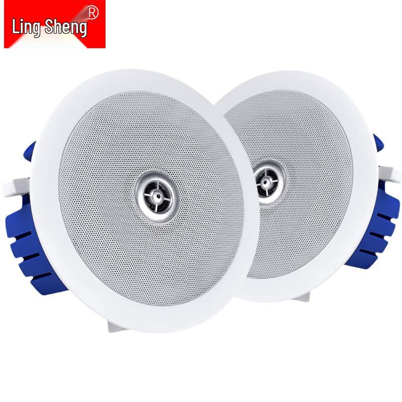 Lingsheng KS-819A Passive Coaxial Ceiling Speaker (CN version)