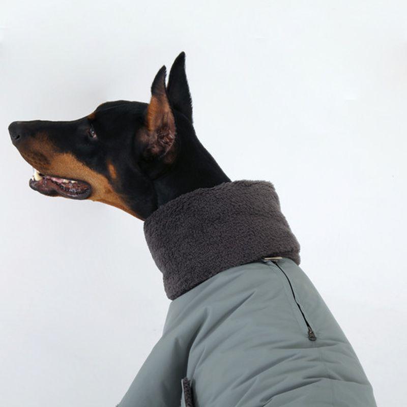 DR.BREEDS Reversible Dumble Jumper Doberman Pinscher Green