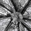 Zerodis Lace Parasol Umbrella 60cm (Black)