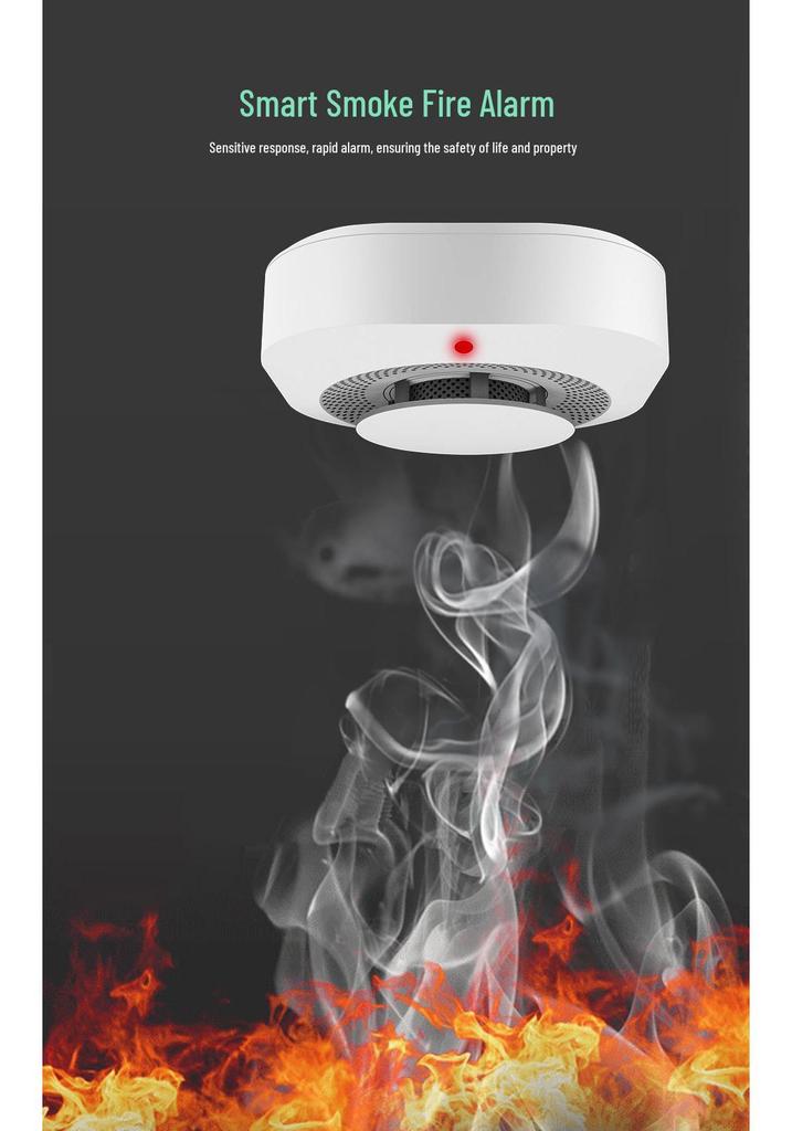 Wireless Smoke Detector and Fire Alarm for Home and Shop Security