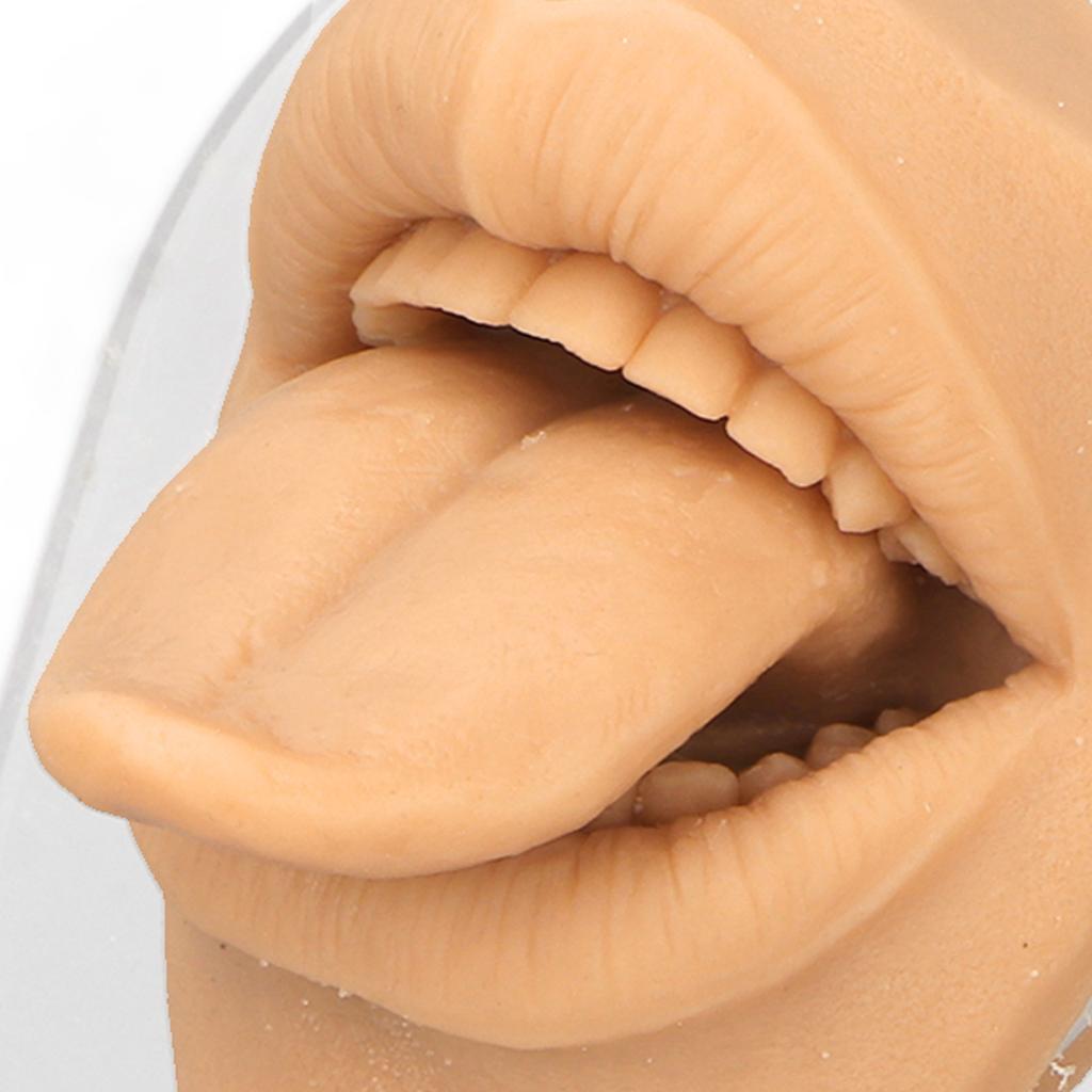 Modelo de lengua humana, silicona suave, soporte acrílico realista, modelo de boca para exhibición de joyería