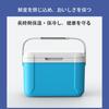 Mokku Cooler Box, Portable, Insulated, Long-Lasting, Airtight, 5L Capacity, Leakproof, Waterproof, Perfect for Camping, Commuting, School, Outdoor