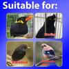 Kaiyuan Starling Bird Food, Parrot, Thrush, Myna, Learn To Speak Quickly, Anti-diarrhea, Calcium Supplementation, Bright Hair, Fat, Nutritious Food