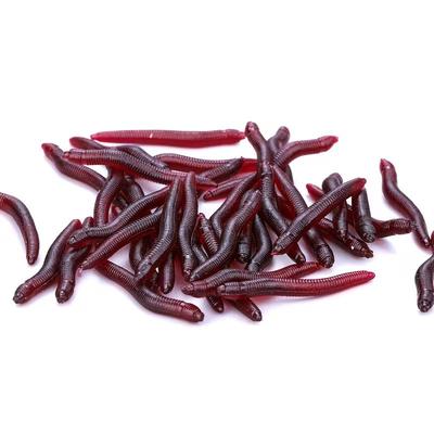 Earthworm Soft Lures Lifelike Soft Red Worm Earthworm Fishing Lure Artificial Bait with Fishy Smell Shrimp Additive for Bass Carp
