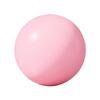 25cm 10Inch Pilates Ball Small Exercise Ball Mini Yoga Ball Gym Ball for Home Gym Pilates Yoga Balance Core Training