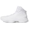 Pro Bounce 2018 White Sneakers FW0902