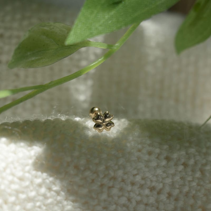 youngglow 14k star clover piercing