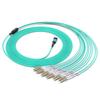 Shengwei OM4 MPO Fiber Optic Patch Cable