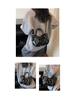 2025 Autumn French Pleated Cloud Bag: New Fashion Textured Casual Handbag & Crossbody