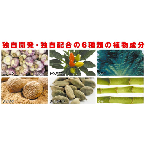 Armic Rice Bin Sensei (1-Year Use), 35kg Capacity, Made in Japan, Rice Insect Repellent, KS-48N