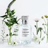 Parfumerie – Parfumuri