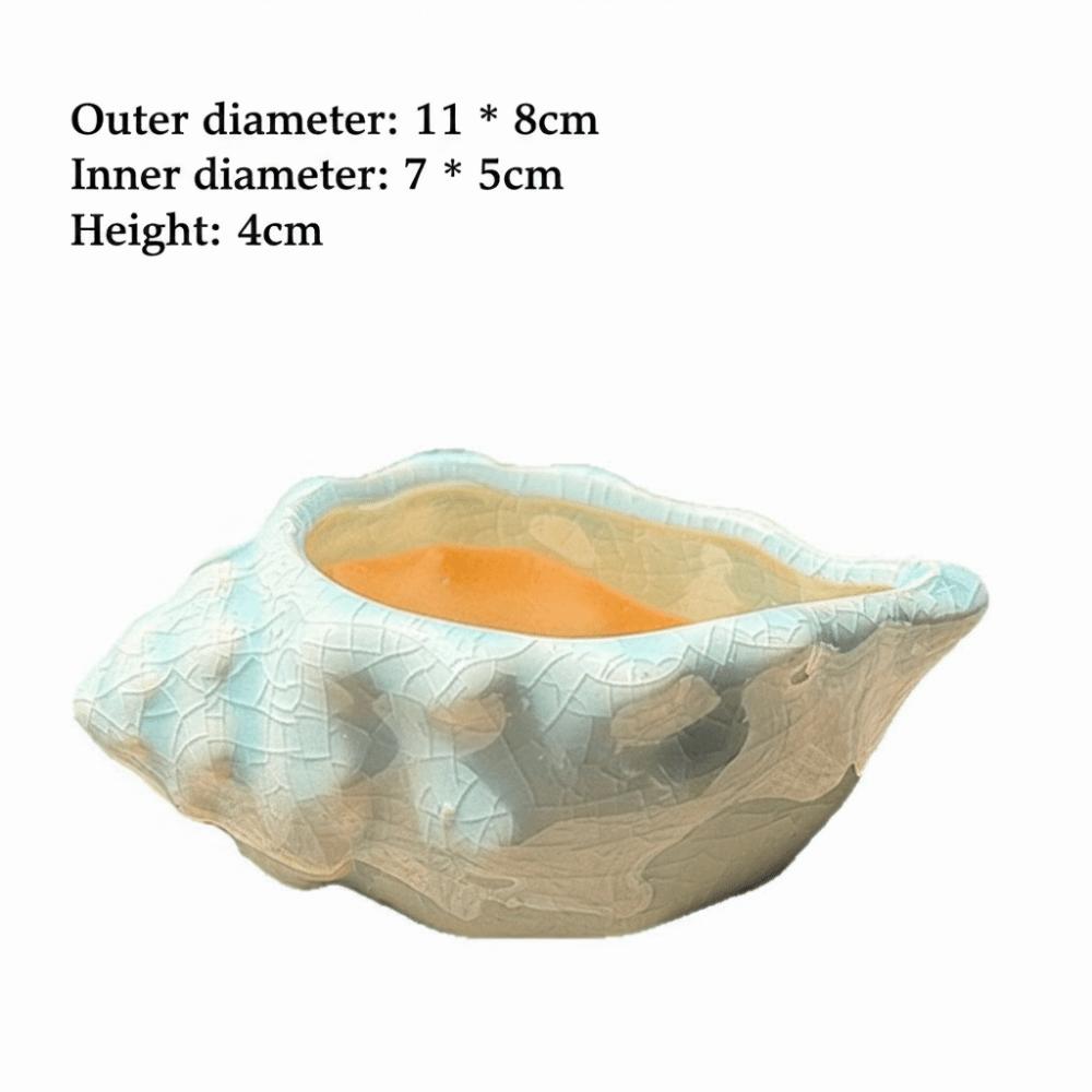 Small Conch Flowerpot Small Capacity Succulent Flowerpot New Gardening Supplies Indoor Decor