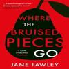 Where the Bruised Pieces Go by Jane Fawley Paperback Book 9781805141730