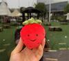 10CM Red Strawberry Fruit Cute Face Expression Stuffed Garden Series Plush Comfort Toy