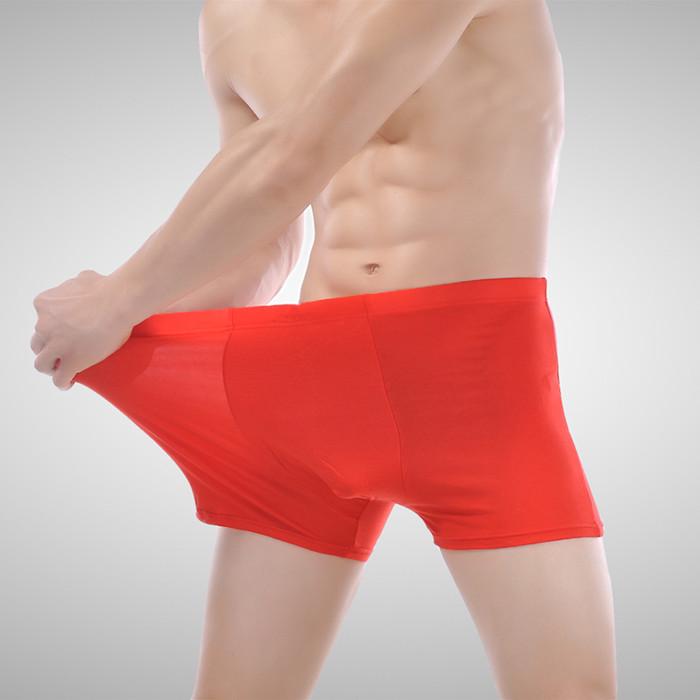 Bamboo Fiber Plus Size Men's Breathable Boxer Briefs & Sports Trunks