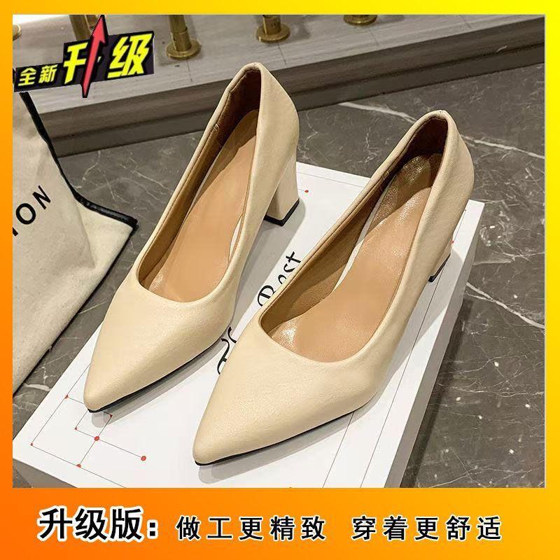 2025 Spring, Summer and Autumn Design Sense Niche with Skirt Not Tired Feet Single Shoes Small Pointed Thick Heel Temperament High Heels