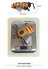 Children's Large Wild Insects Cognitive Simulation Toy - Bee, Wasp, Hornet Model Decoration