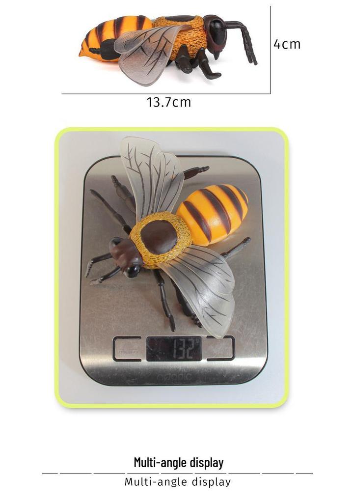 Children's Large Wild Insects Cognitive Simulation Toy - Bee, Wasp, Hornet Model Decoration