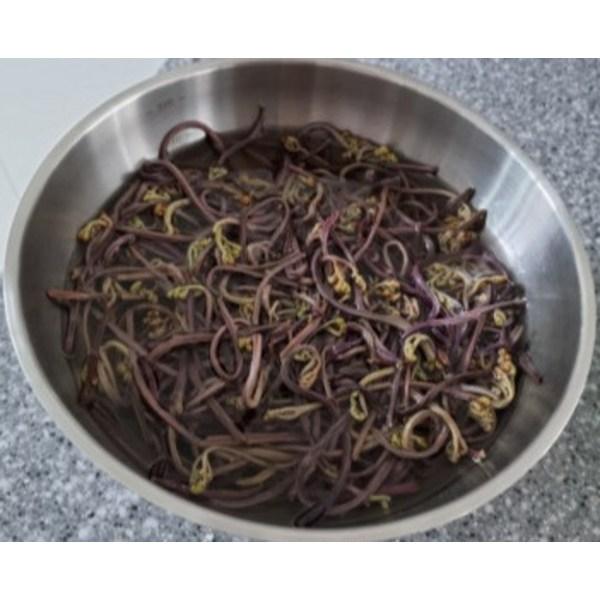 Gonggam bite dried fern, 100g, 1 piece, Korean nuts