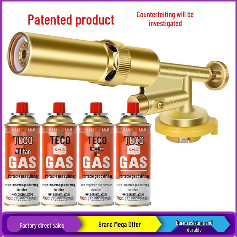 Explosion-Proof Portable Gas Stove with LPG Canister for Outdoor Use