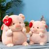 Wholesale Chubby Pig Doll Internet Celebrity Angel Pig Love Plush Toy Bed Doll Claw