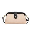 Leisure Commuting Bag for Women, New Niche Texture Single Shoulder Crossbody Bag, Canvas Dumpling Bag