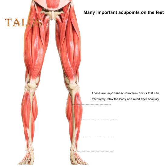 Sammenleggbar fotbadebøtte med bærbart håndtak Vanntett reisecamping utendørs fotspa isolert badekar Vask