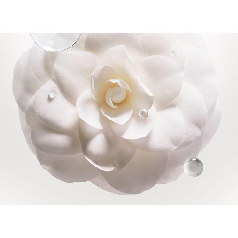 T8 - Plant Perfume Hair Essential Oil Set