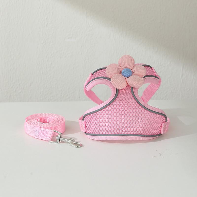 Small Dog Harness and Leash Set - Vest-Style for Teddy, Bichon, and Other Small Breeds M (for 8-13 lbs)