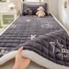 Autumn and Winter Milk Velvet Mattress Cushion Plus Velvet Mattress Pad Mattress Pad Household Coral Velvet Thick Warm1pcs