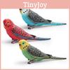 Realistic Bird Model Pvc Parrot Decorative Figurine For Kids Learning And Display