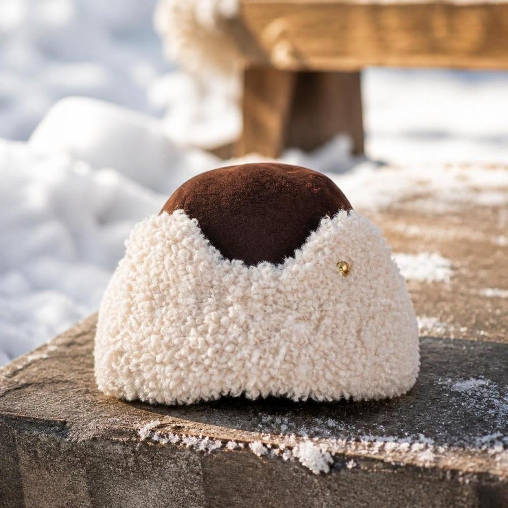 Thermal Plush Winter Hat Cold Proof Windproof Thermal Hat Warm Bear Ear Hat For Women