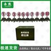 Jixiong Illuminated Remote Shooting Target System Components