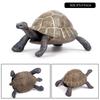 Oenux Ocean Animals  Leatherback Tortoise Turtle Growth Cycle Sea Life Model Figurines Action Figures PVC Education Kid Toy Gift
