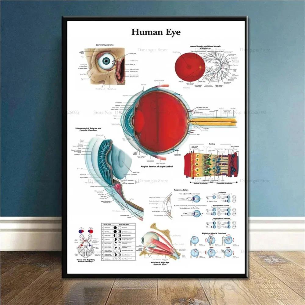 Trigger Points Anatomy Foot Reflexology Chart Study Canvas Painting Poster Prints Wall Art Picture Photo Gift Room Home Decor