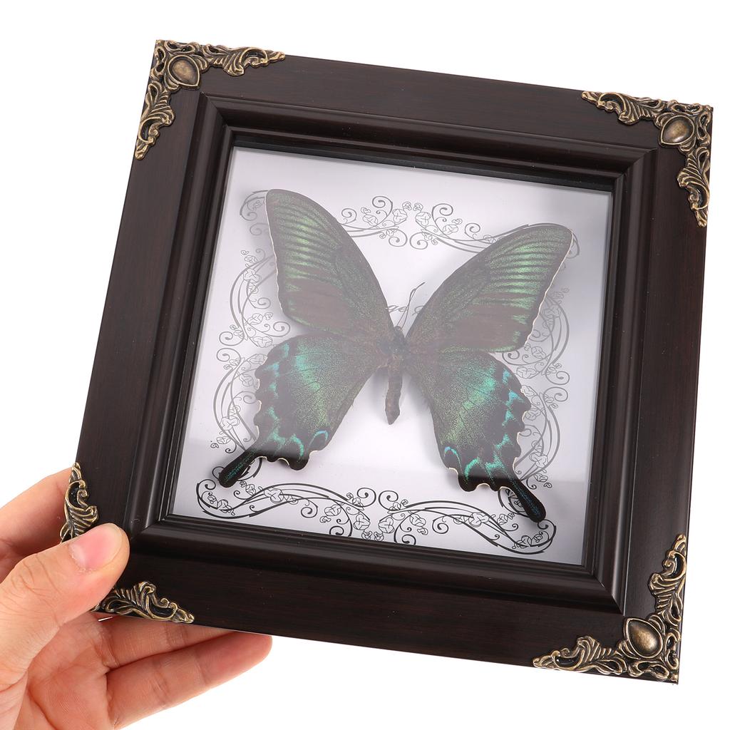 Rámeček na fotografii s motýlím exemplářem Vintage dekorace Hmyz Kancelářský zarámovaný set Nastavení obrázku Domácí ozdoba Dřevěný nástěnný závěsný display box