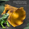 Natural Reptiles Habitats Decors Resin Hideouts Cave For Bearded Dragons Geckos Climbing Shelter Place Easy to Clean