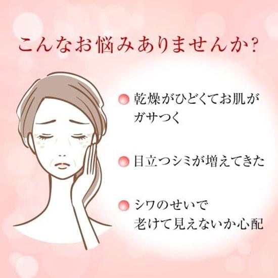 Hada Labo Gokujun Medicated Firming Lotion Refill 170mL x 2 Pack + Sachet Included Quasi-Drug